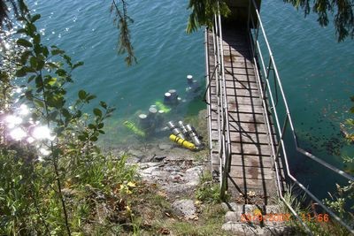 Habitatbergung Walchensee 2006